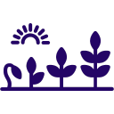 Personal Transformation icon